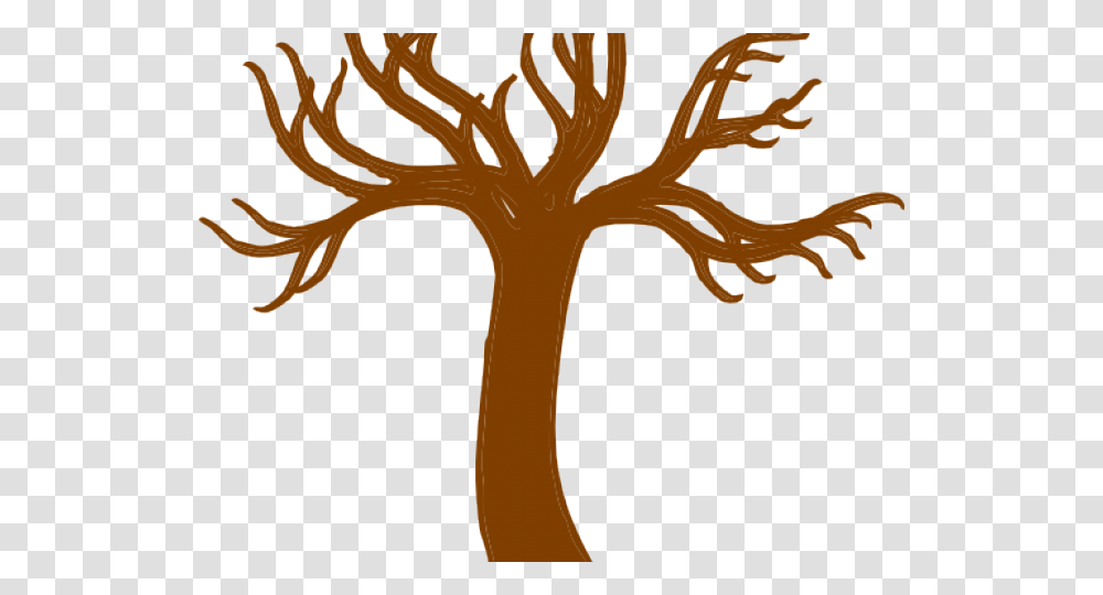Roots Clipart Tree Trunk, Plant, Palm Tree, Arecaceae Transparent Png