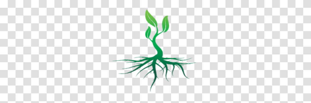 Roots Colour Illustration, Animal, Snake, Reptile, Plant Transparent Png