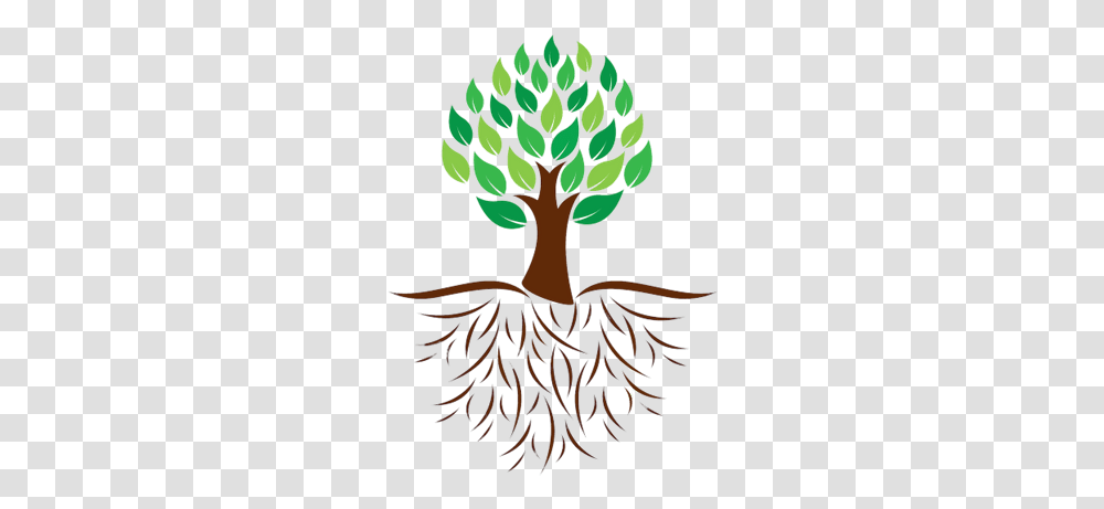 Roots Colour Illustration Trans Background Tree With Roots, Plant Transparent Png