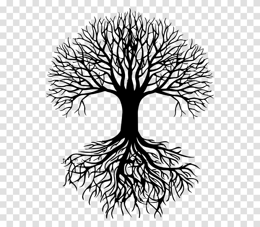 Roots Drawing Oak Tree Tree Roots Vector, Gray Transparent Png