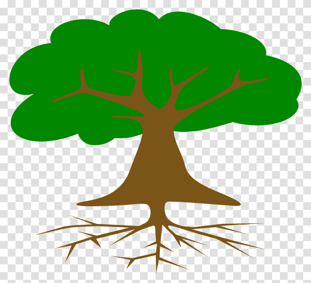 Roots Of American Democracy Tree, Plant, Poster, Advertisement Transparent Png