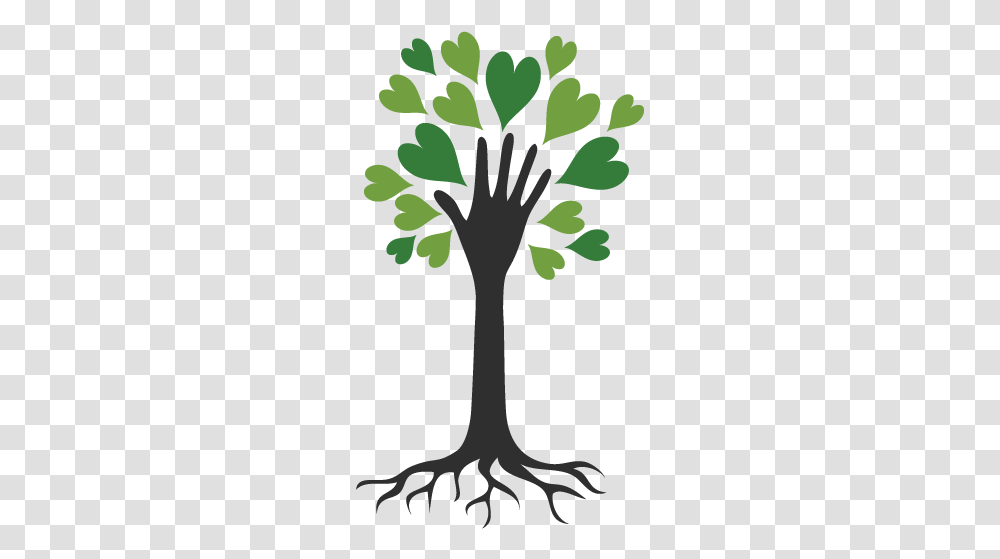 Roots Of Compassion Dgt, Plant, Tree, Flower, Blossom Transparent Png