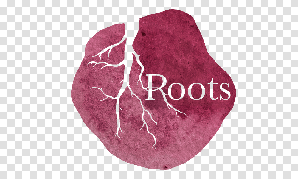 Roots Roots Restaurant York, Petal, Flower, Plant, Sponge Transparent Png