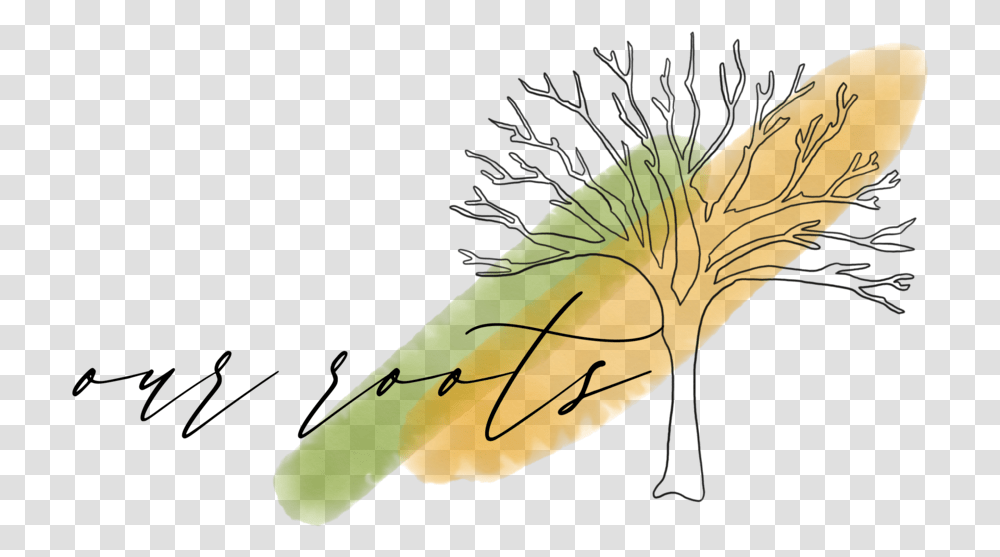 Roots Sketch, Animal, Insect, Invertebrate, Bird Transparent Png