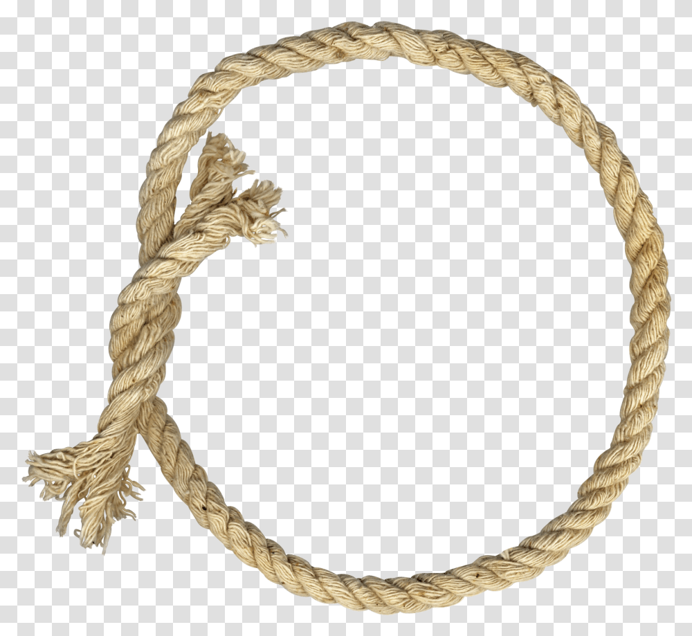 Rope Clipart Background, Bird, Animal, Rug Transparent Png