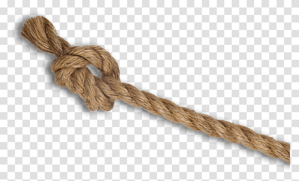 Rope Rope And Knot, Bird, Animal Transparent Png