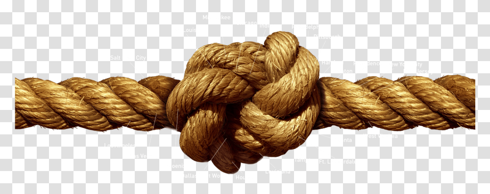Rope Tied Together Rope With Knot, Bird, Animal Transparent Png