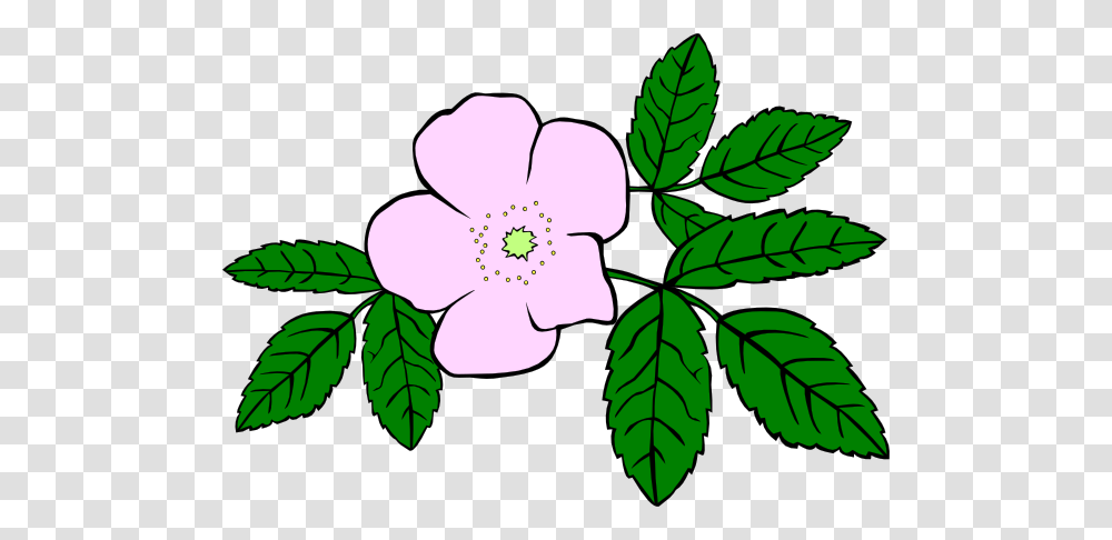 Rosa Acicularis Clip Arts For Web, Plant, Leaf, Green, Flower Transparent Png