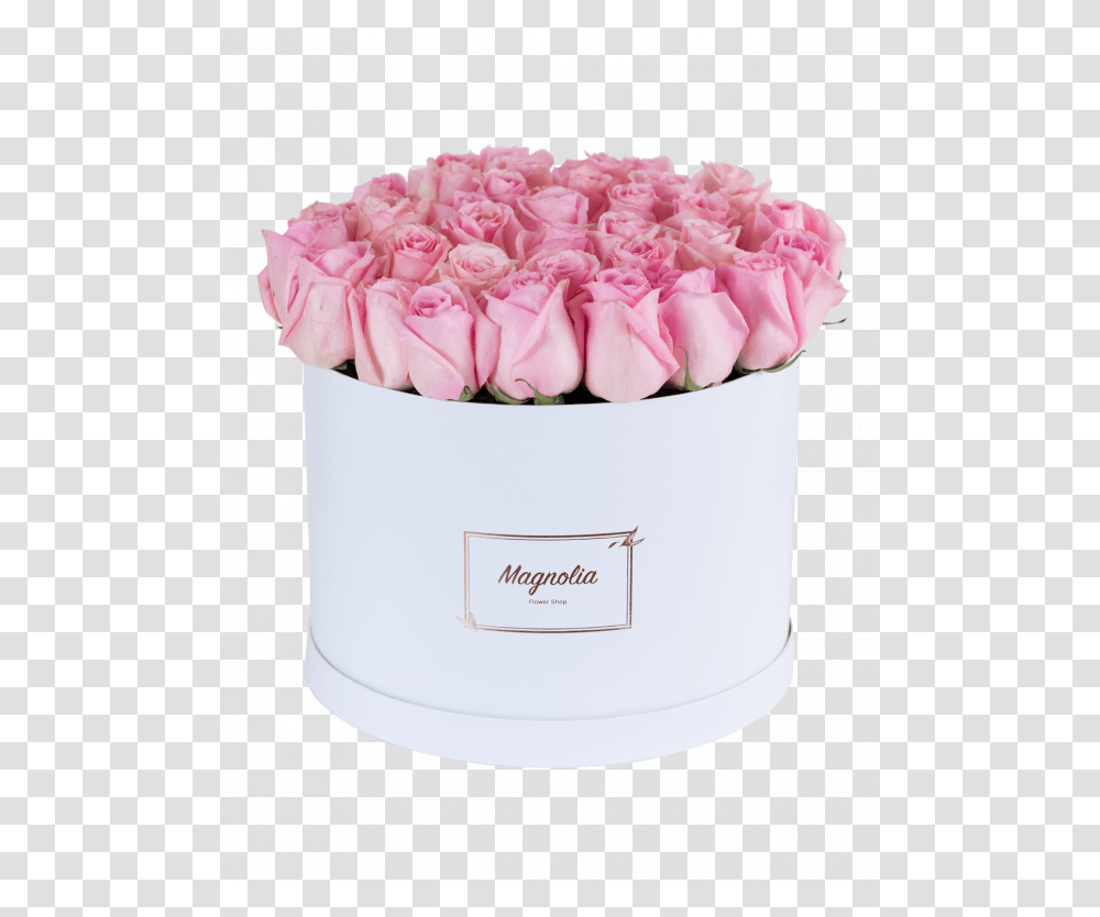 Rosa Centifolia, Plant, Flower, Blossom, Rose Transparent Png
