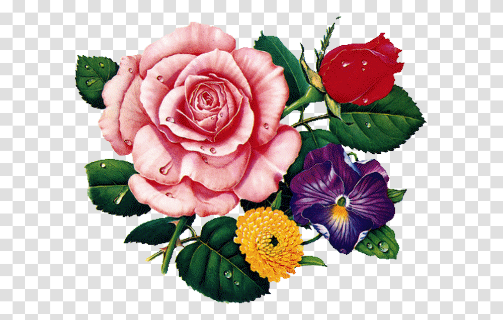 Rosa E Flores Floral Tea Cups Cartoon, Plant, Rose, Flower, Petal Transparent Png