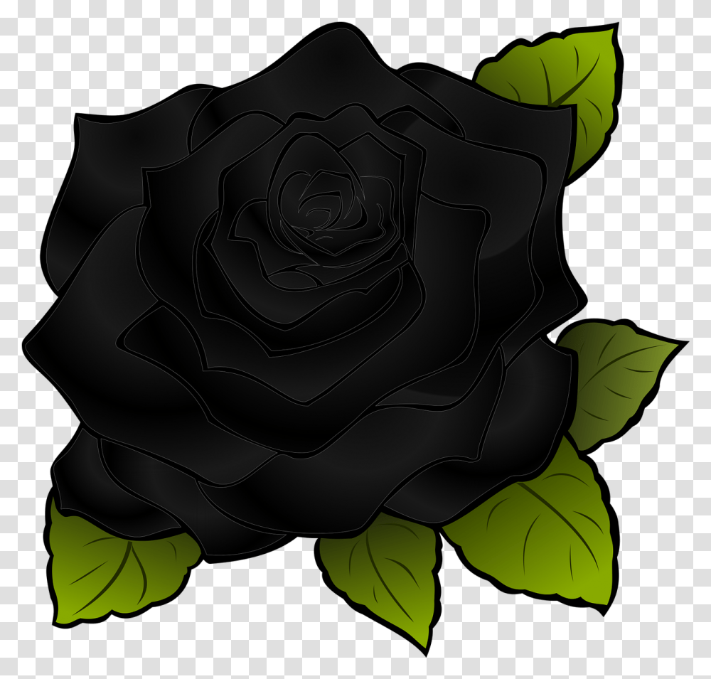 Rosa Flower Black Flower Rose, Plant, Blossom, Green, Petal Transparent Png