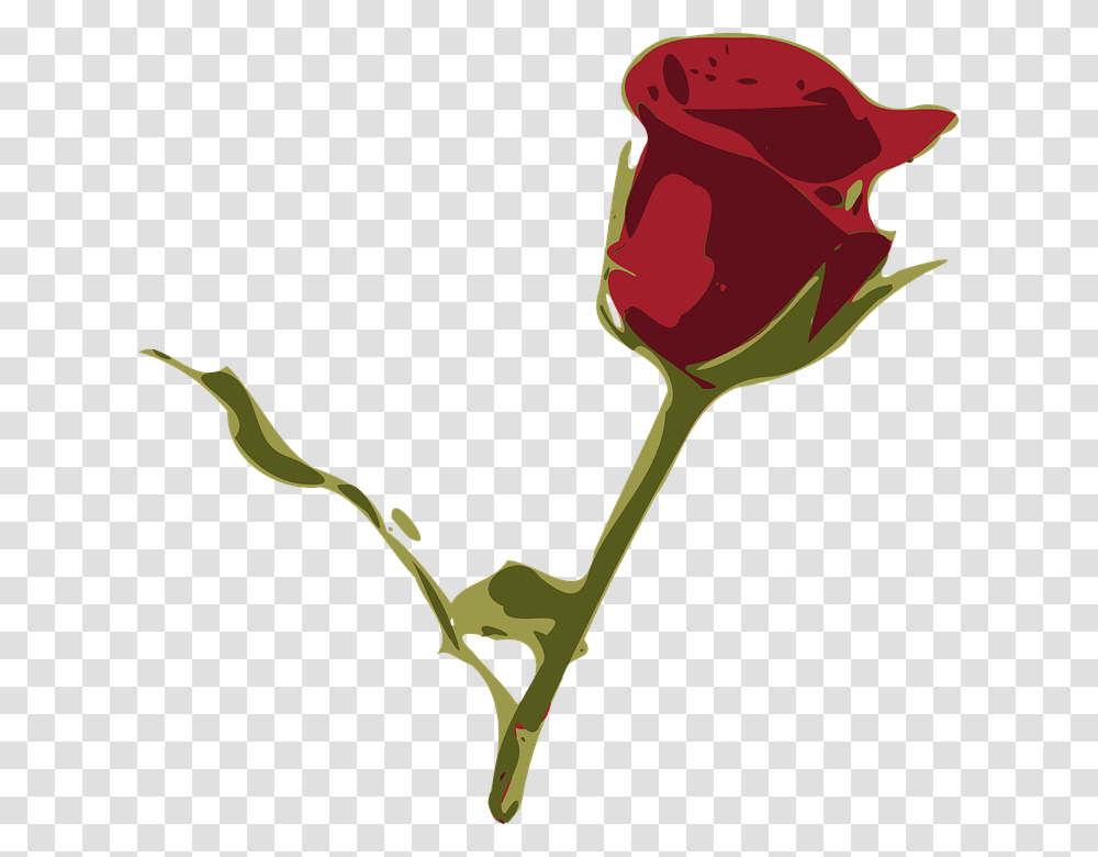Rosa Flower Cliparts 24 Buy Clip Art Rosa, Rose, Plant, Blossom, Petal Transparent Png
