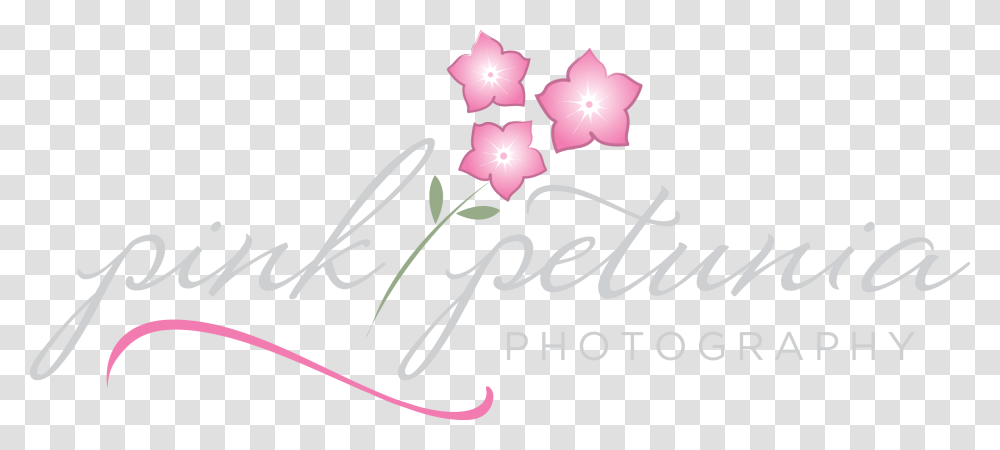 Rosa Glauca, Plant, Flower, Petal Transparent Png