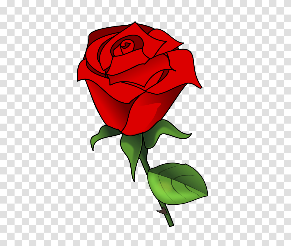 Rosa, Nature, Rose, Flower, Plant Transparent Png