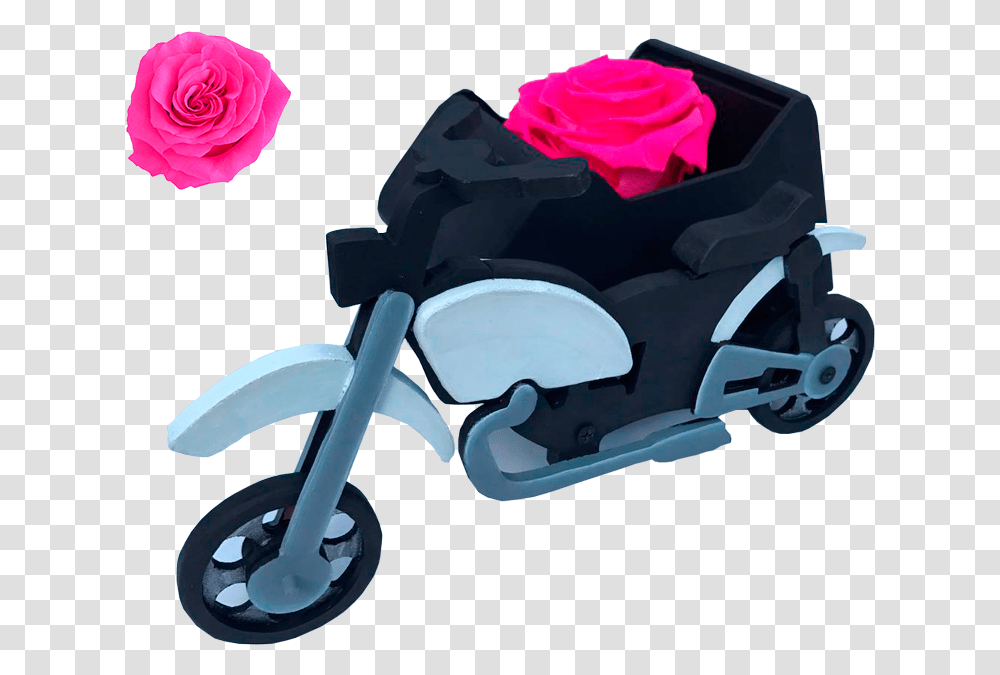 Rosa Roja, Motorcycle, Vehicle, Transportation, Flower Transparent Png