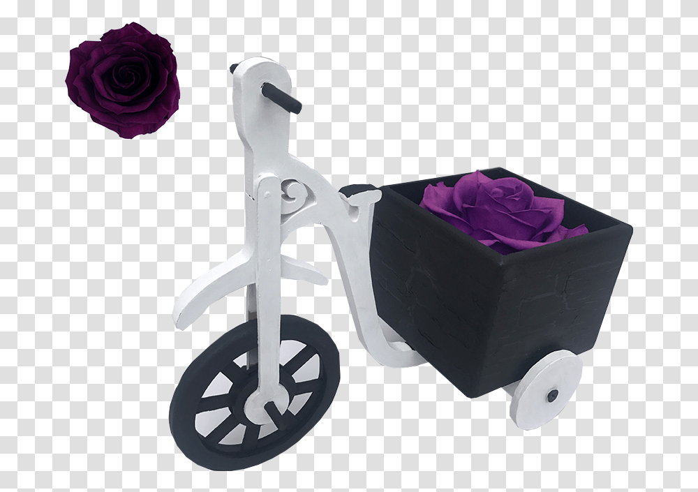 Rosa Roja, Vehicle, Transportation, Flower, Plant Transparent Png