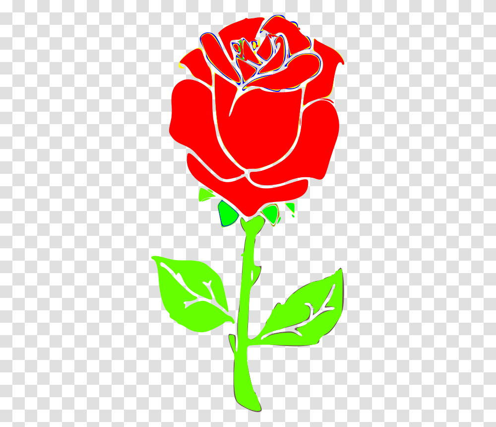 Rosa Rose Drawing, Flower, Plant, Blossom, Petal Transparent Png