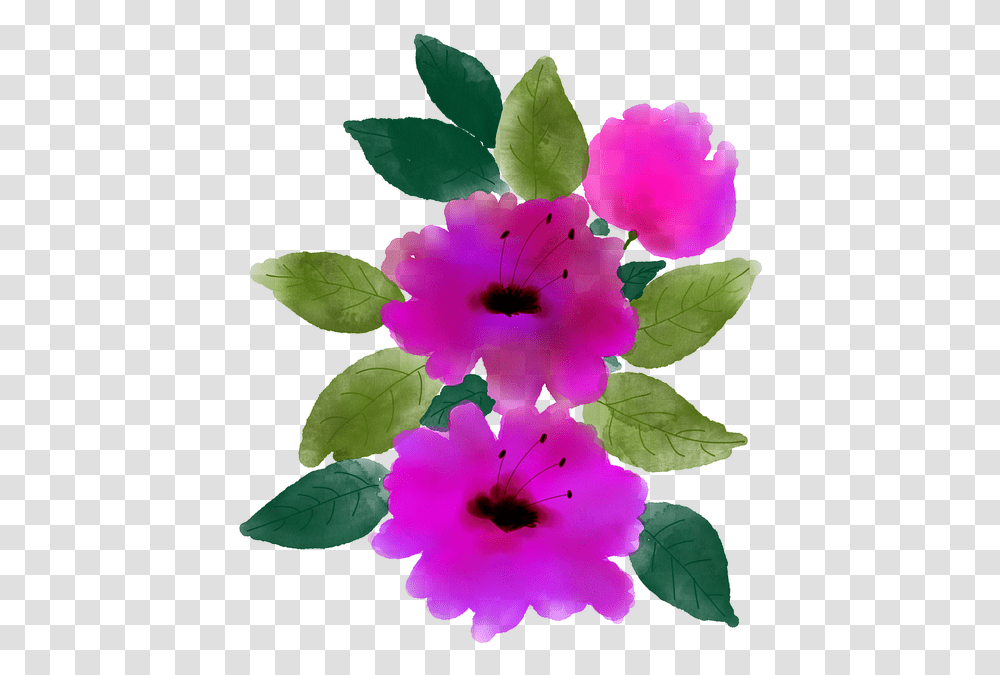 Rosa Rubiginosa, Plant, Leaf, Flower, Blossom Transparent Png
