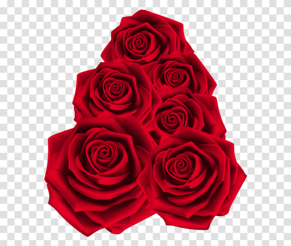 Rosa Vermelha 2 Gulab Flower, Rose, Plant, Blossom Transparent Png