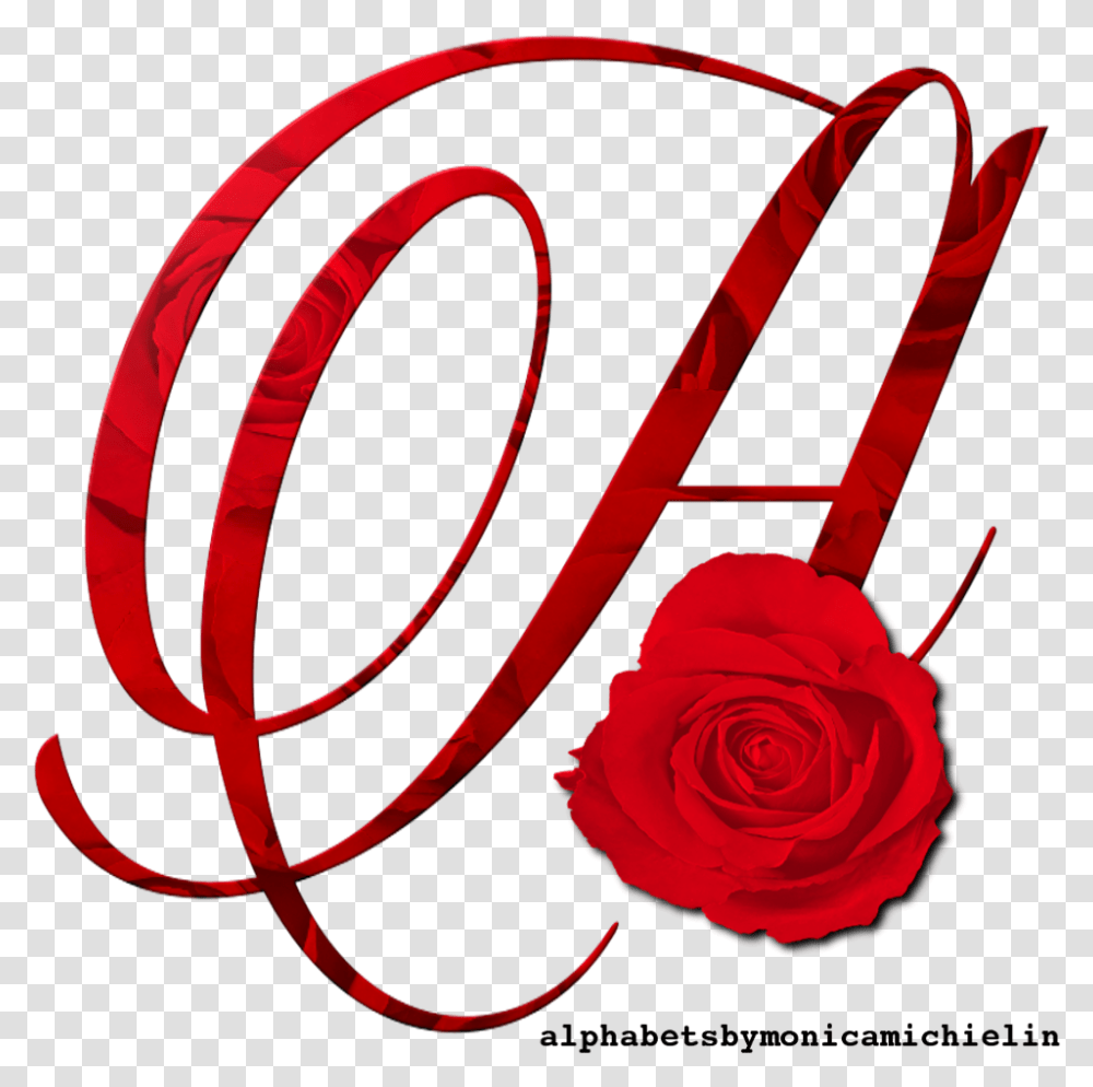 Rosa Vermelha Em, Rose, Flower, Plant, Blossom Transparent Png