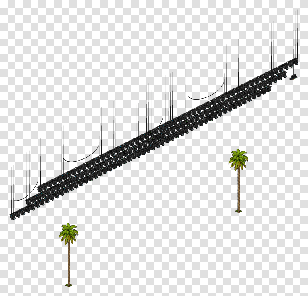 Rosario Tree, Plant, Palm Tree, Flower, Outdoors Transparent Png