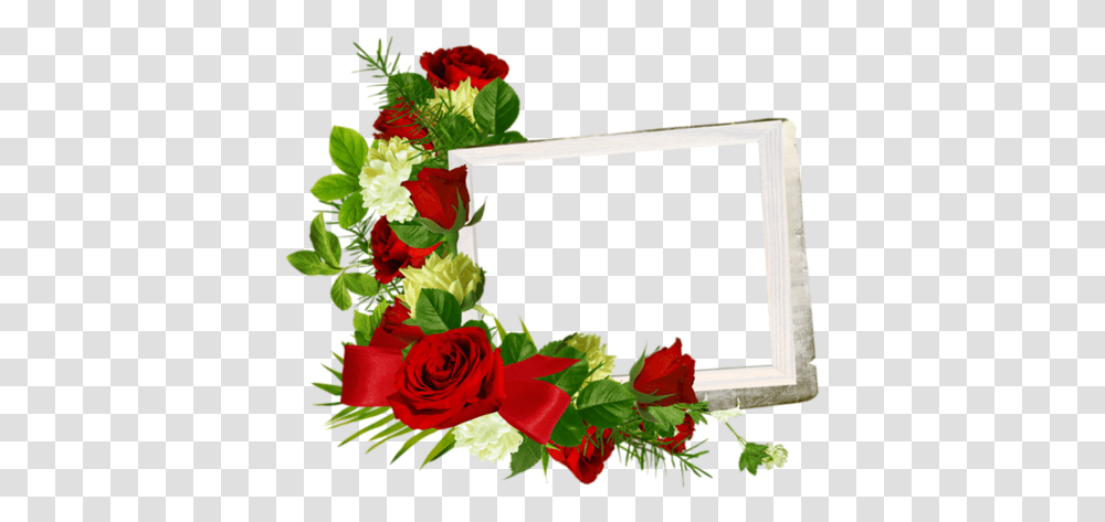 Rosas Frame, Plant, Flower Transparent Png