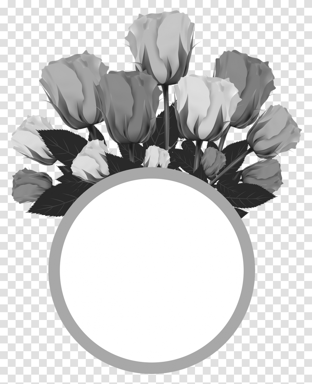 Rosas, Plant, Flower, Blossom, Petal Transparent Png