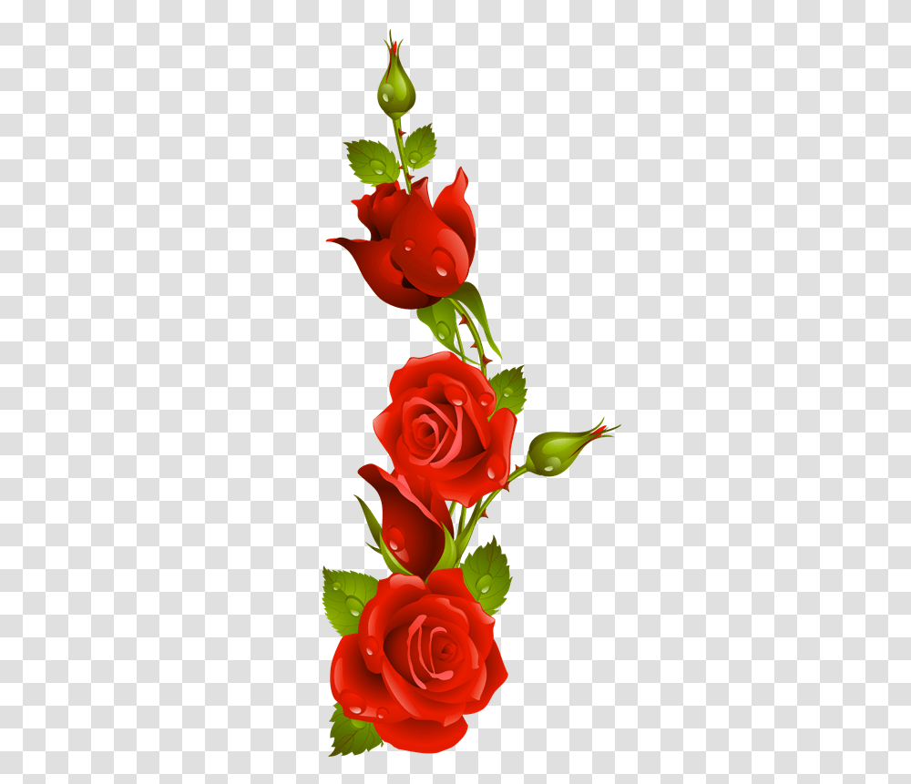 Rosas Rojas Animadas Love Kiss Rose Flower, Plant, Blossom, Petal Transparent Png