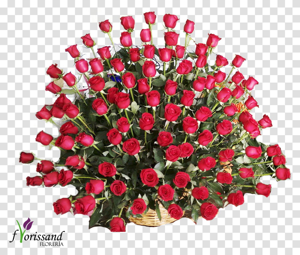 Rosas Rojas Bouquet, Plant, Flower, Blossom, Rose Transparent Png