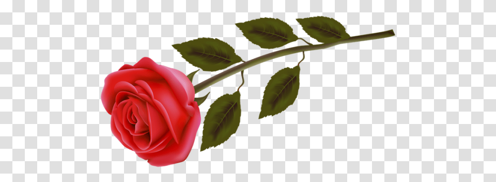 Rosas Rojas Para Photoshop Heart With Three Roses, Leaf, Plant, Flower, Blossom Transparent Png