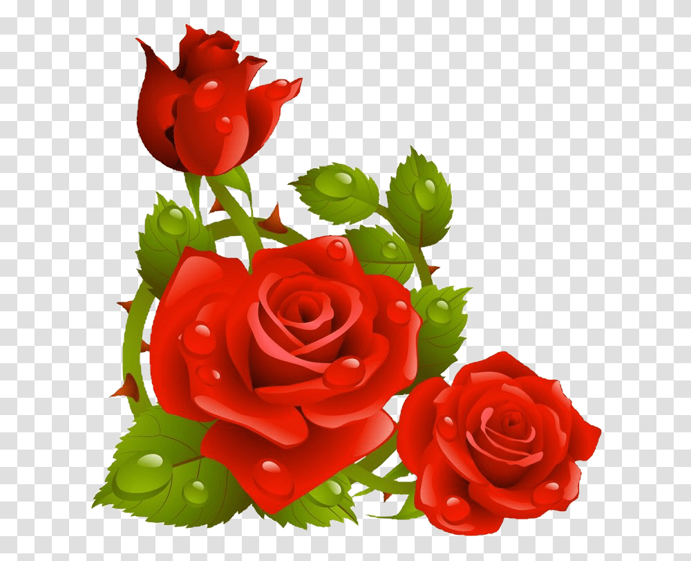Rosas Rojas Sticker By Bribella Love Most Beautiful Flower, Rose, Plant, Blossom, Petal Transparent Png