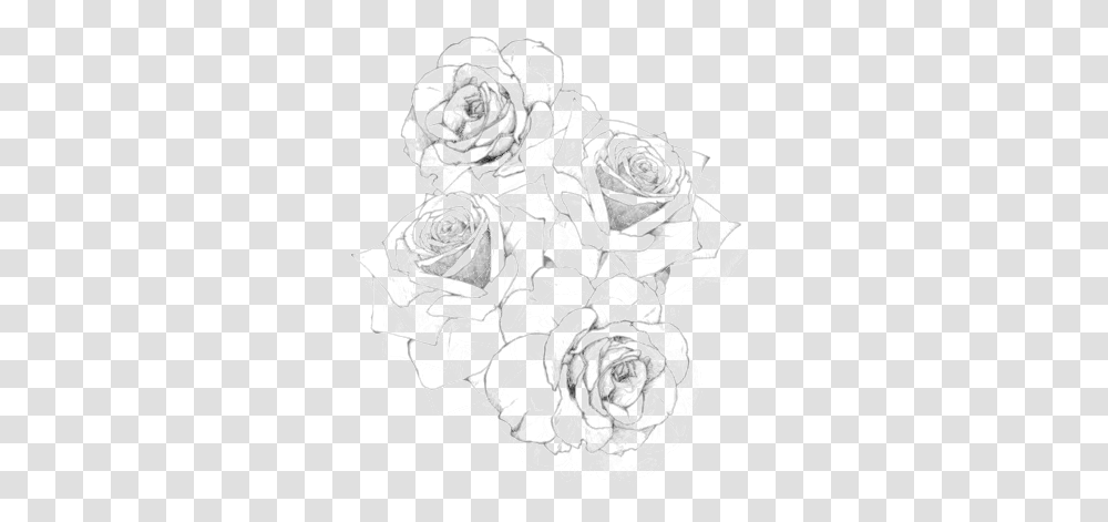 Rosas Rose Recursos Negro Black Black Amp Rose Tattoo, Floral Design, Pattern Transparent Png