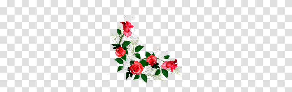 Rosas Vermelhas Icon Download, Floral Design, Pattern Transparent Png