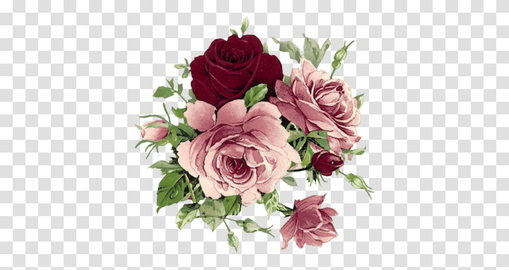 Rosas Vintage Para Scrap Rose Roses, Floral Design, Pattern, Graphics, Art Transparent Png