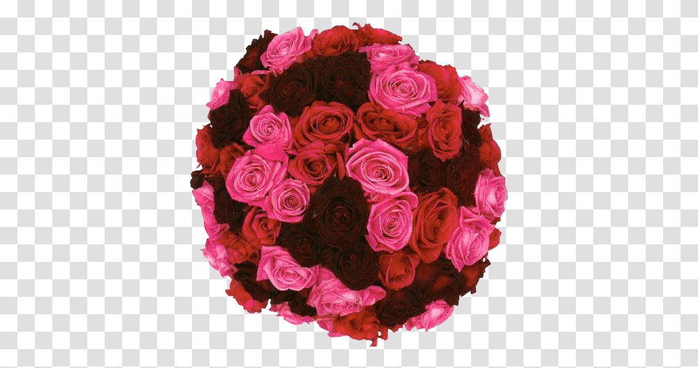 Rosde Bouque Round Shape Garden Roses, Plant, Flower, Blossom, Floral Design Transparent Png