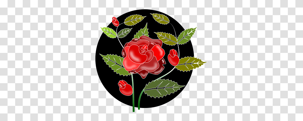 Rose Nature, Plant, Flower, Leaf Transparent Png