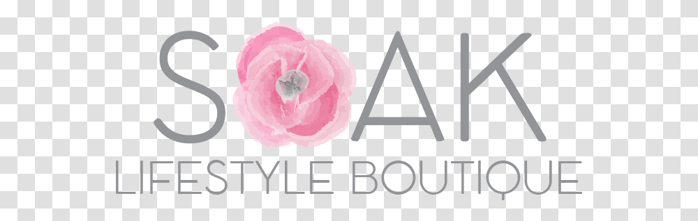 Rose 2004, Flower, Plant, Blossom, Triangle Transparent Png