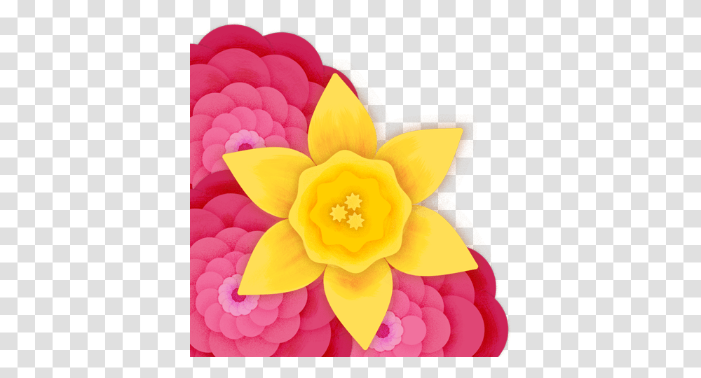 Rose 2020, Plant, Dahlia, Flower, Daffodil Transparent Png