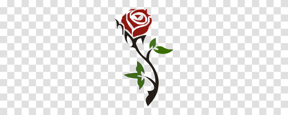 Rose Emotion, Plant, Leaf, Flower Transparent Png