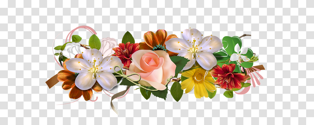 Rose Emotion, Plant, Flower, Blossom Transparent Png