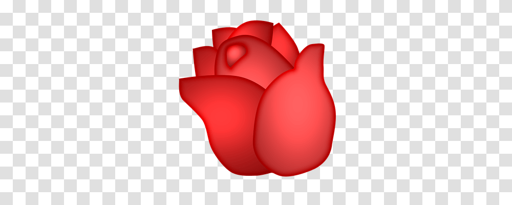 Rose Nature, Plant, Balloon, Petal Transparent Png