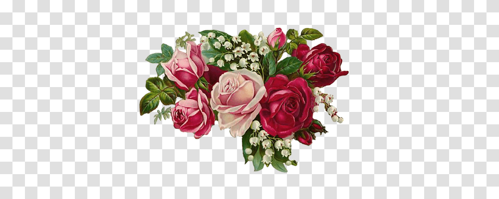 Rose Nature, Floral Design Transparent Png
