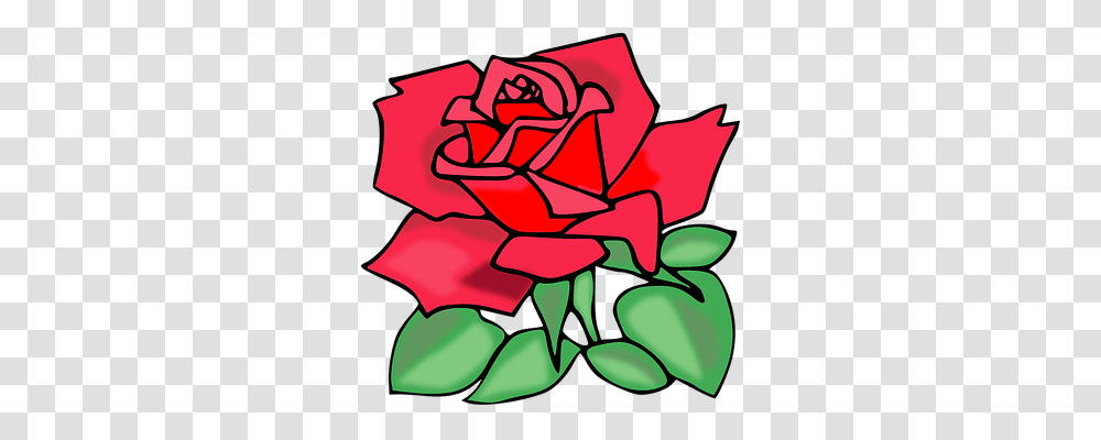 Rose Emotion, Plant Transparent Png