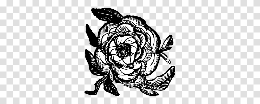 Rose Nature, Spiral, Tiger, Wildlife Transparent Png