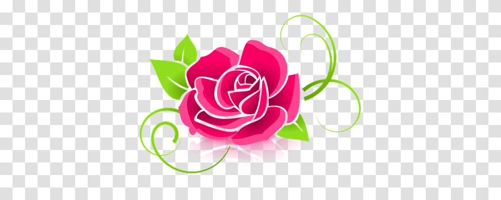 Rose Emotion, Flower Transparent Png