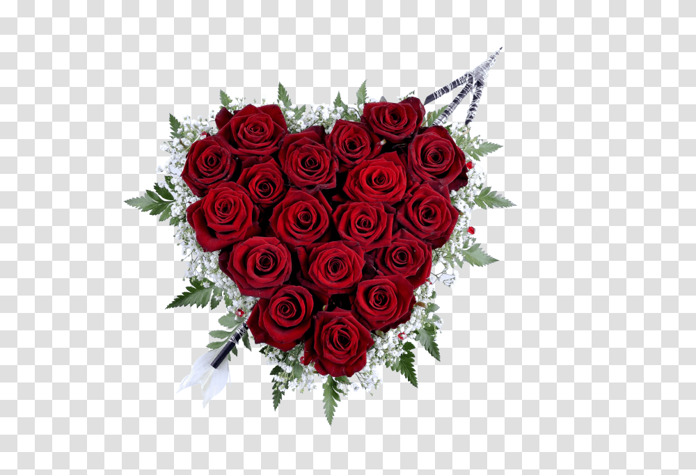 Rose Clip, Holiday, Plant, Flower Bouquet, Flower Arrangement Transparent Png