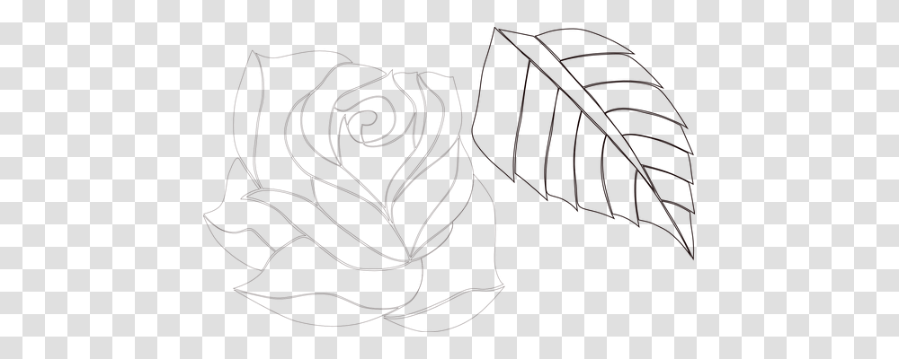 Rose Nature, Sweets, Plant, Leaf Transparent Png