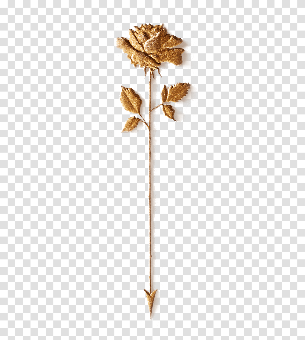 Rose Amp Arrow Golden Rose Macrocystis Pyrifera, Weapon, Blade, Sweets Transparent Png