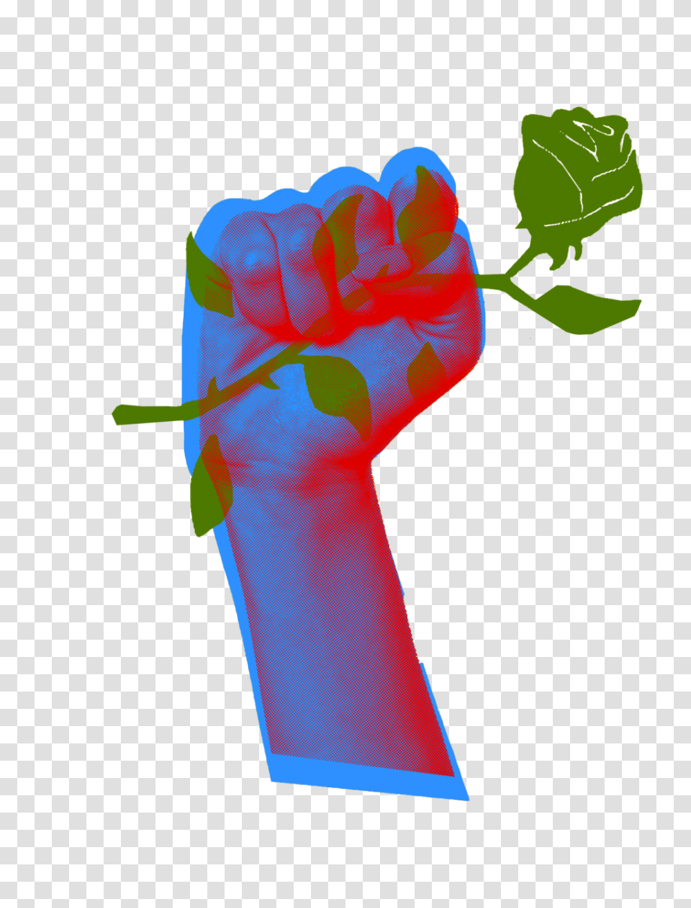 Rose Army, Hand, Fist, Key Transparent Png