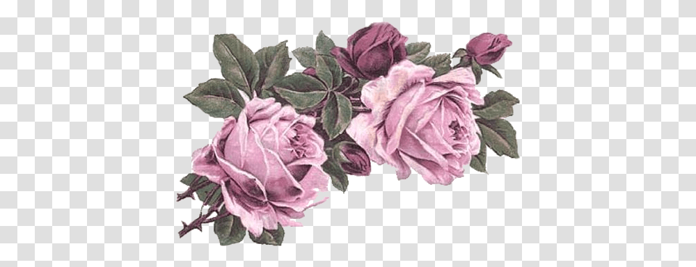 Rose Art Vintage Flowers Victorian Flower, Plant, Blossom, Carnation, Peony Transparent Png